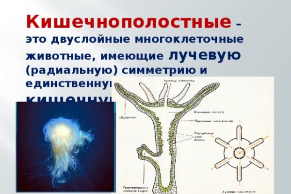 Mega sb зеркало рабочее и актуальное