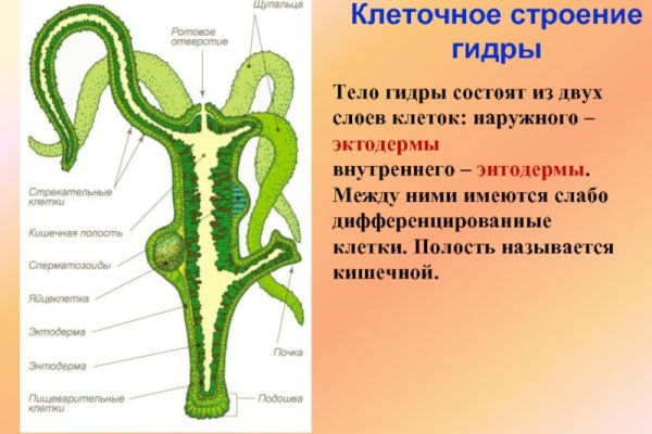 Kraken даркнет официальный сайт